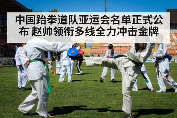 中国跆拳道队亚运会名单正式公布 赵帅领衔多线全力冲击金牌