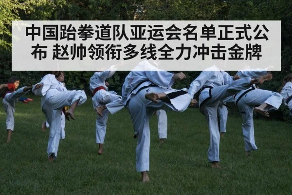taekwondo kick action